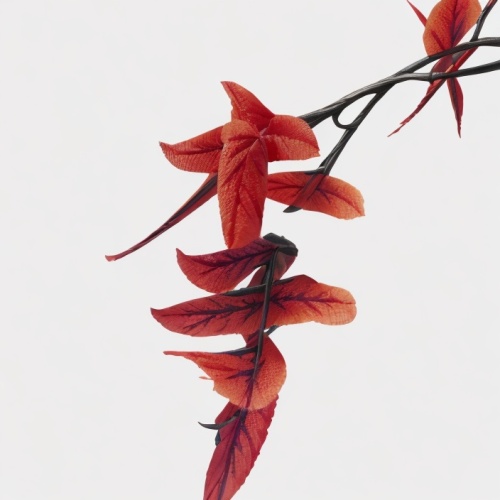 erythrina crista-galli,red leaves,flame vine,red foliage,red leaf,flowers png,blood maple,fireweed,firecracker flower,watercolor leaves,fire-star orchid,ristras,bicolor leaves,maple foliage,leaves flowers,rosehips,dried wild flower,dried flower,trumpet creeper,inflorescences