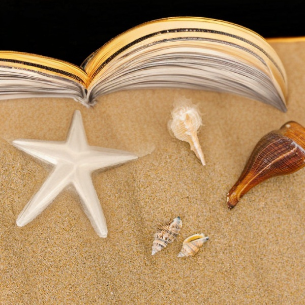 黑色,sea shell,seashells,beach shell,marine gastropods,sea shells,shells,watercolor seashells,spiny sea shell,seashell,shell,in shells,conch shell,spiral book,beachcombing,sea snail,harris shell,blue se